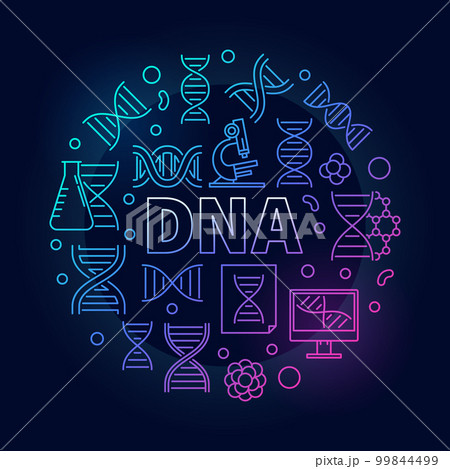 Vector DNA colorful round illustration or symbol 99844499