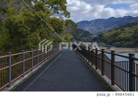 畑貯水池、湖岸沿いの遊歩道 畑貯水池、湖岸沿いの遊歩道 99845661