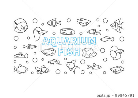Aquarium fish vector horizontal banner in thin line style Aquarium fish vector horizontal banner in thin line style 99845791