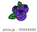 ブルーベリーのかわいいキャラクター 99848980