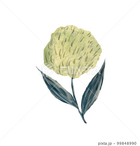 Flower blue green textured a watercolor sketch 99848990