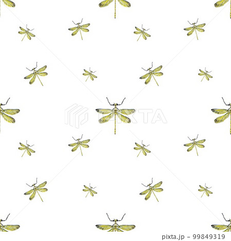 Dragonfly yellow pattern cute a watercolor sketch 99849319