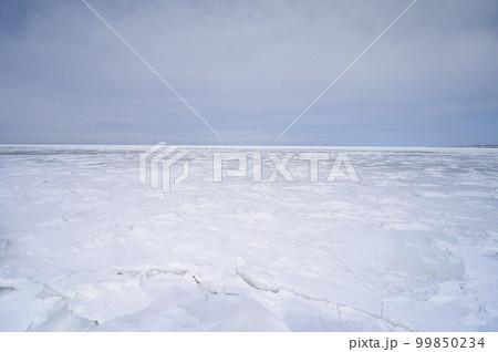 冬の春国岱 流氷に覆われた海岸 冬の春国岱 流氷に覆われた海岸 99850234