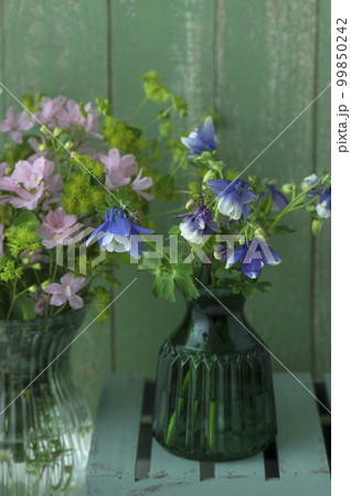 オダマキと春の花 オダマキと春の花 99850242