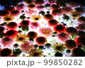 夜の花手水 99850282