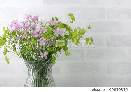 ピンクデルフィニウムとブプレリウム 99850356