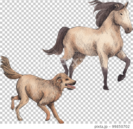 Farm life watercolor,character,animal,PNG element 99850702