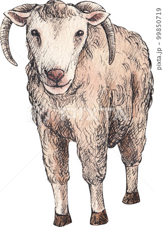 Farm life watercolor,animal,character,baan house,PNG element 99850719