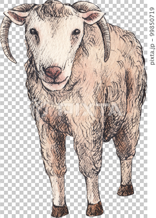 Farm life watercolor,animal,character,baan house,PNG element 99850719