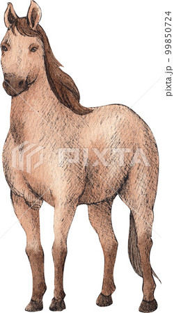 Farm life watercolor,animal,character,baan house,PNG element 99850724