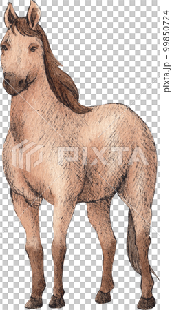 Farm life watercolor,animal,character,baan house,PNG element Farm life watercolor,animal,character,baan house,PNG element 99850724