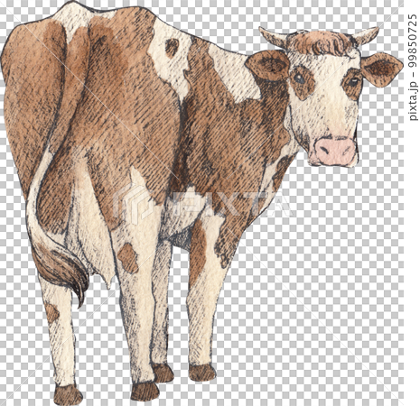 Farm life watercolor,animal,character,baan house,PNG element 99850725