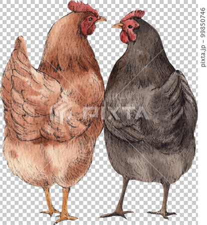 Farm life watercolor,animal,character,baan house,PNG element 99850746