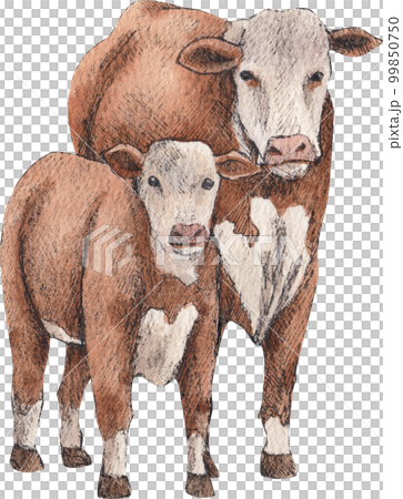 Farm life watercolor,animal,character,baan house,PNG element 99850750