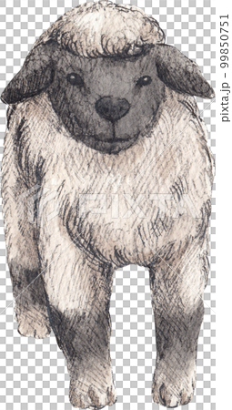 Farm life watercolor,animal,character,baan house,PNG element Farm life watercolor,animal,character,baan house,PNG element 99850751