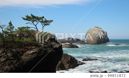 種差海岸の白岩 種差海岸の白岩 99851872