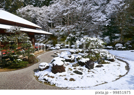 2月積雪の京都市洛北 曼殊院の枯山水庭園 99851975