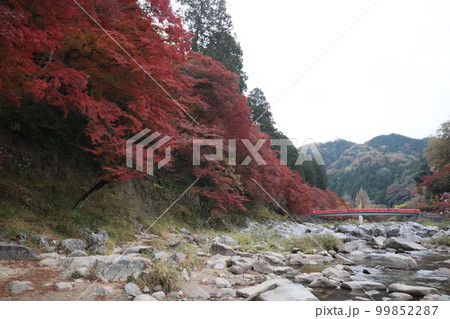 松浦軒本店　かすてら　恵那　岐阜県　恵那市　栗きんとん 99852287
