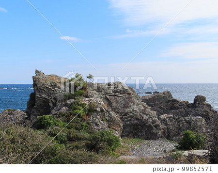 高知県室戸岬の海と岩と浜と巨石、巨岩、奇岩、室戸世界ジオパーク 99852571