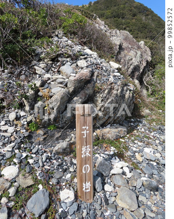高知県室戸岬の海と岩と浜と巨石、子授けの岩と立て札、巨岩、奇岩、室戸世界ジオパーク 99852572