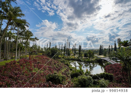 沖縄県　東南植物楽園　水上楽園エリアの景色 99854938