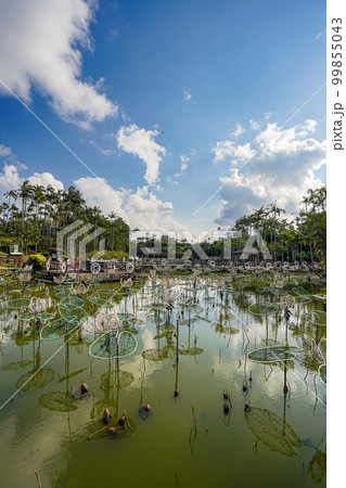 沖縄県 東南植物楽園 水上楽園エリアの景色 沖縄県 東南植物楽園 水上楽園エリアの景色 99855043