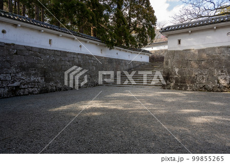 飫肥城跡 飫肥城跡 99855265