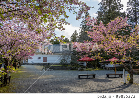 飫肥城跡 99855272