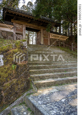 飫肥城跡 - 旧本丸跡 - 飫肥杉林 飫肥城跡 - 旧本丸跡 - 飫肥杉林 99855901