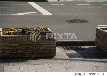 長野大通り　歩道 99856021