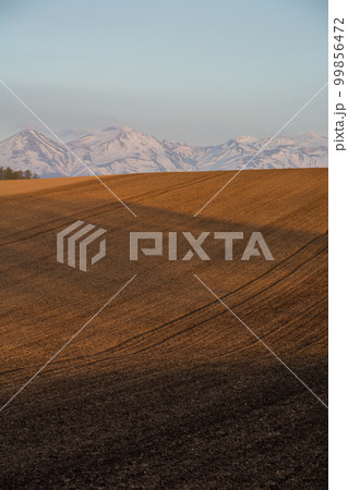 残雪山並みと春の畑 99856472