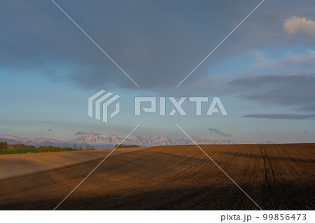 残雪山並みと春の畑 99856473