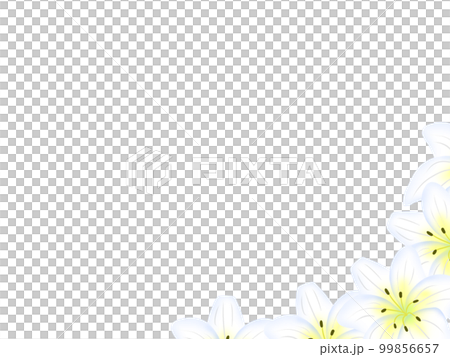 Lily frame _ lower right decoration 99856657