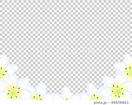 Lily frame_bottom decoration Lily frame_bottom decoration 99856661