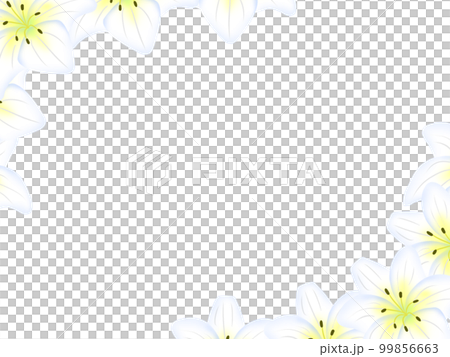 Lily frame_upper left & lower right decoration Lily frame_upper left & lower right decoration 99856663