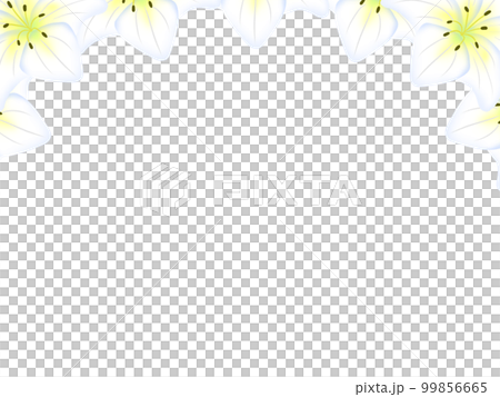 Lily frame_upper decoration Lily frame_upper decoration 99856665