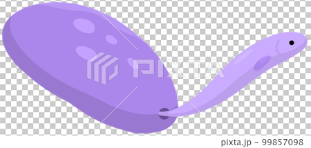 カクレウオ 99857098