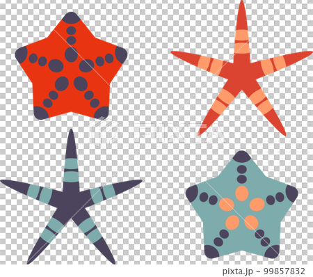 Starfish illustration Starfish illustration 99857832