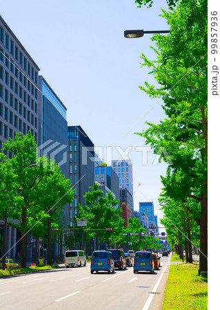 【大阪府】4月・青空の下、爽やかな休日の御堂筋を観光する 99857936