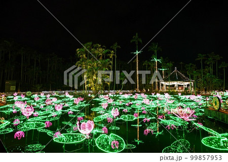 沖縄三大夜景 沖縄南国イルミネーション 沖縄三大夜景 沖縄南国イルミネーション 99857953