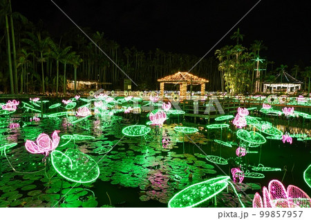 沖縄三大夜景　沖縄南国イルミネーション 99857957