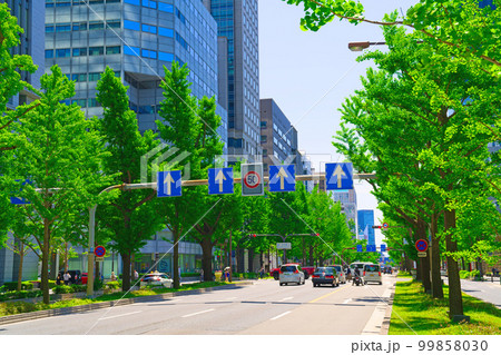【大阪府】4月・青空の下、爽やかな休日の御堂筋を観光する 【大阪府】4月・青空の下、爽やかな休日の御堂筋を観光する 99858030