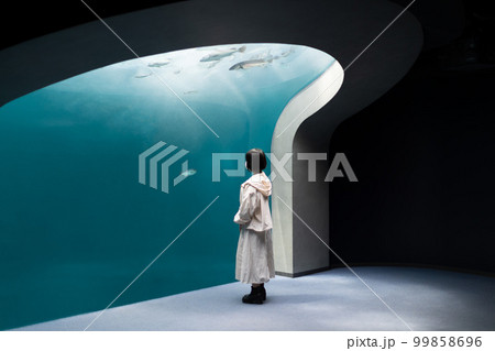 水族館のプールにある魚を見つめる少女 99858696