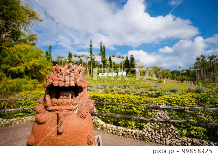 沖縄　シーサー 99858925