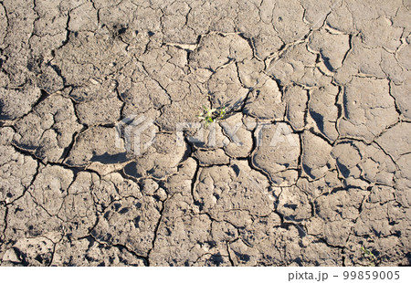 Background of dry cracked earth, parched earth, texture of earth dirt, desert, global warming, climate change Background of dry cracked earth, parched earth, texture of earth dirt, desert, global warming, climate change 99859005