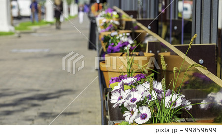 Flowers on a city street. Summer decoration. Focus on the foreground 99859699
