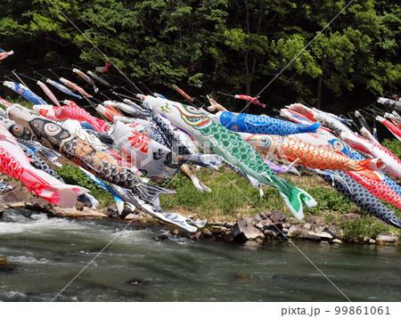 白石川材木岩公園で泳ぐこいのぼり 99861061
