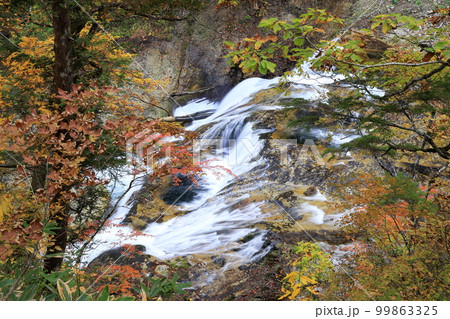 雑魚川の紅葉(奥志賀高原 長野県 下水内郡) 雑魚川の紅葉(奥志賀高原 長野県 下水内郡) 99863325