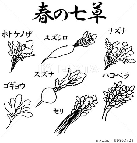 春の七草の線画のイラスト素材　ベクター 99863723