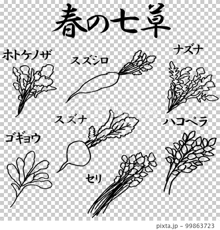 春の七草の線画のイラスト素材　ベクター 99863723